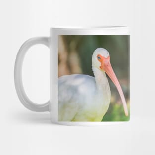 American white ibis of Blossom Trail Mug